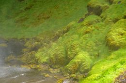 Fotografien, Skógafoss, Michel Eisenlohr