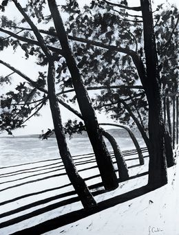 Gemälde, Plage du Cap Coz, Frédéric Cadiou
