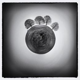 Fotografien, La Ronde du Silence, Paul Marnef