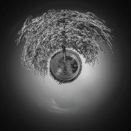 Photography, Murmure de Printemps, Paul Marnef