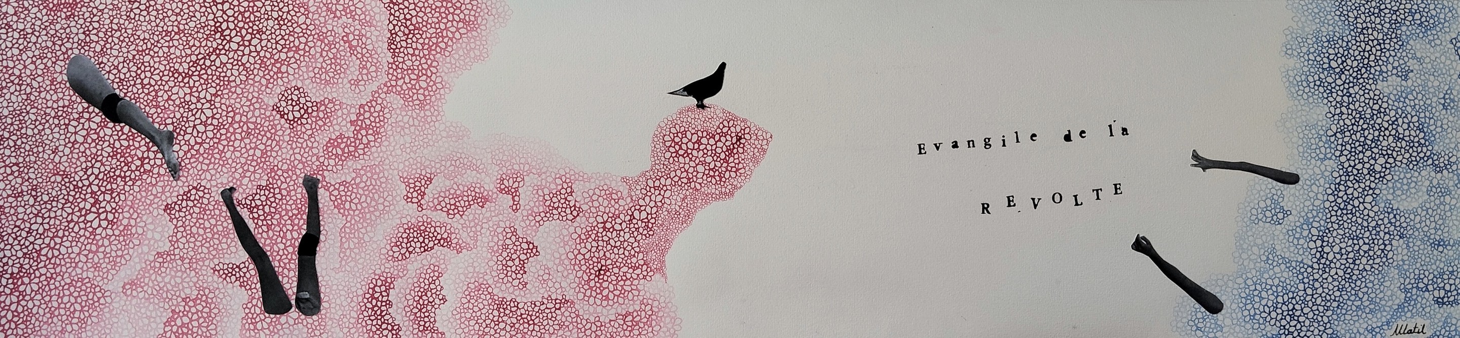 Mathilde Neri, Cher Ami, oiseau fantastique ! 12 Mathilde Neri, Cher Ami, oiseau fantastique ! 12
