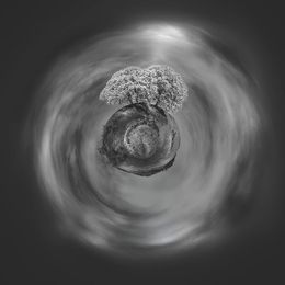 Photography, Entre Deux Mondes, Paul Marnef