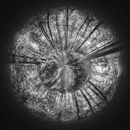 Photography, Racines du Temps, Paul Marnef