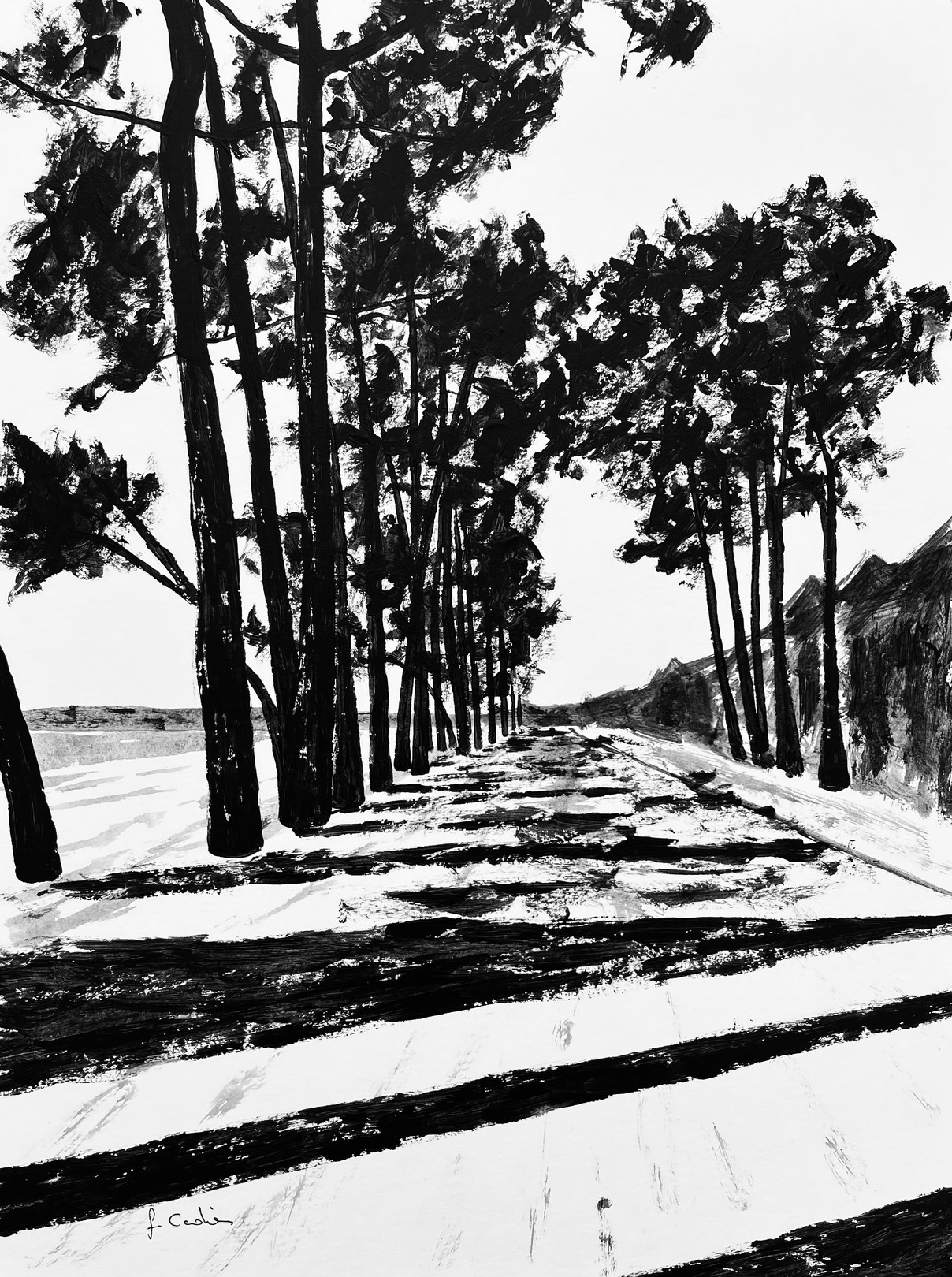 Frédéric Cadiou, Avenue du Cap Coz Frédéric Cadiou, Avenue du Cap Coz