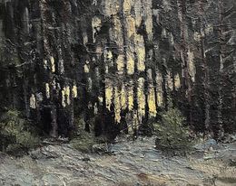 Gemälde, Early snow, Volodymyr Pashchenko