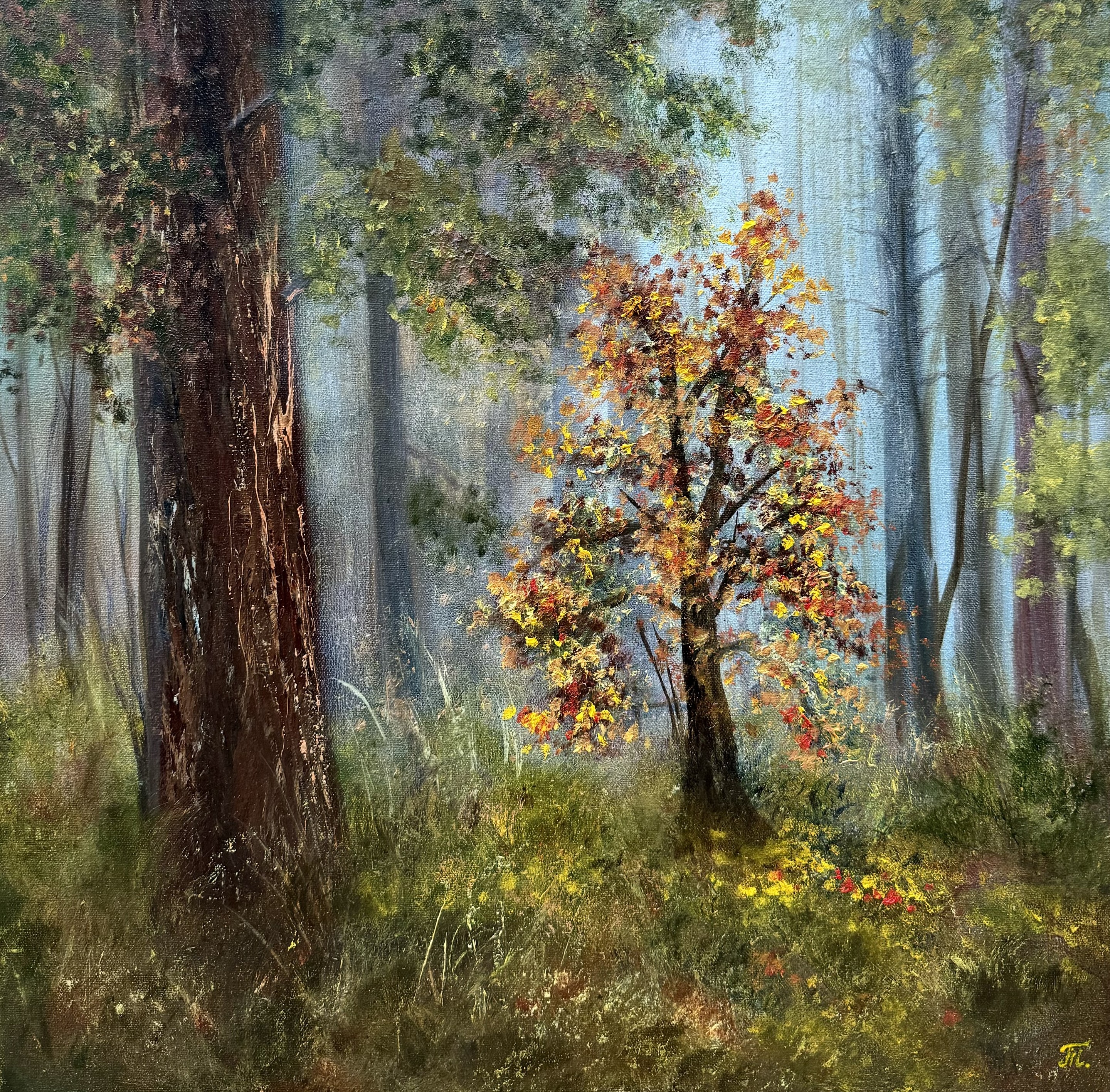 Tanja Frost, Inner light Tanja Frost, Inner light