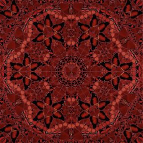 Drucke, Wu Zetian, Damien Hirst
