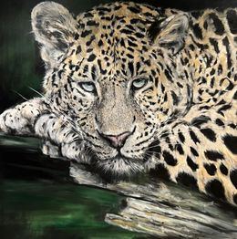 Gemälde, Resting Leopard, Yuan Henry