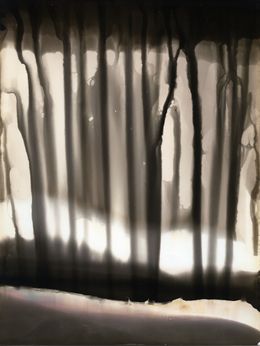 Photography, Alchemical Forest, Mihaela Ivanova