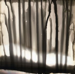 Photography, Alchemical Forest, Mihaela Ivanova