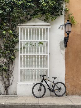 Fotografien, Una rama en la ventana - Cartagena, Lala Lopez