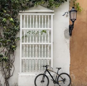 Fotografien, Una rama en la ventana - Cartagena, Lala Lopez