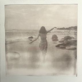Gemälde, Summer remnants, Herrera Isabel