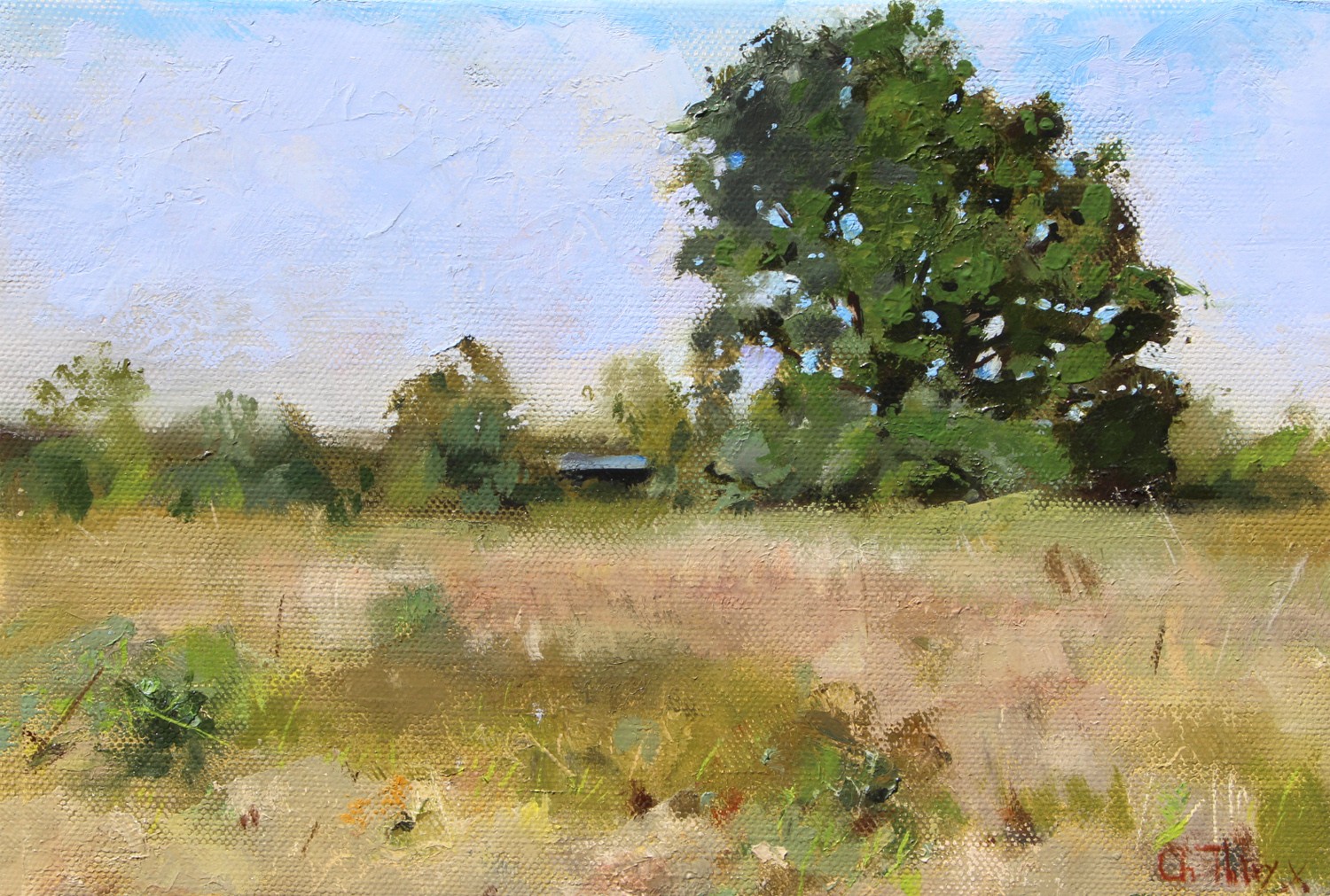 Christophe Thiry, Paysage ensoleillé Christophe Thiry, Paysage ensoleillé
