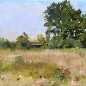 Gemälde, Paysage ensoleillé, Christophe Thiry
