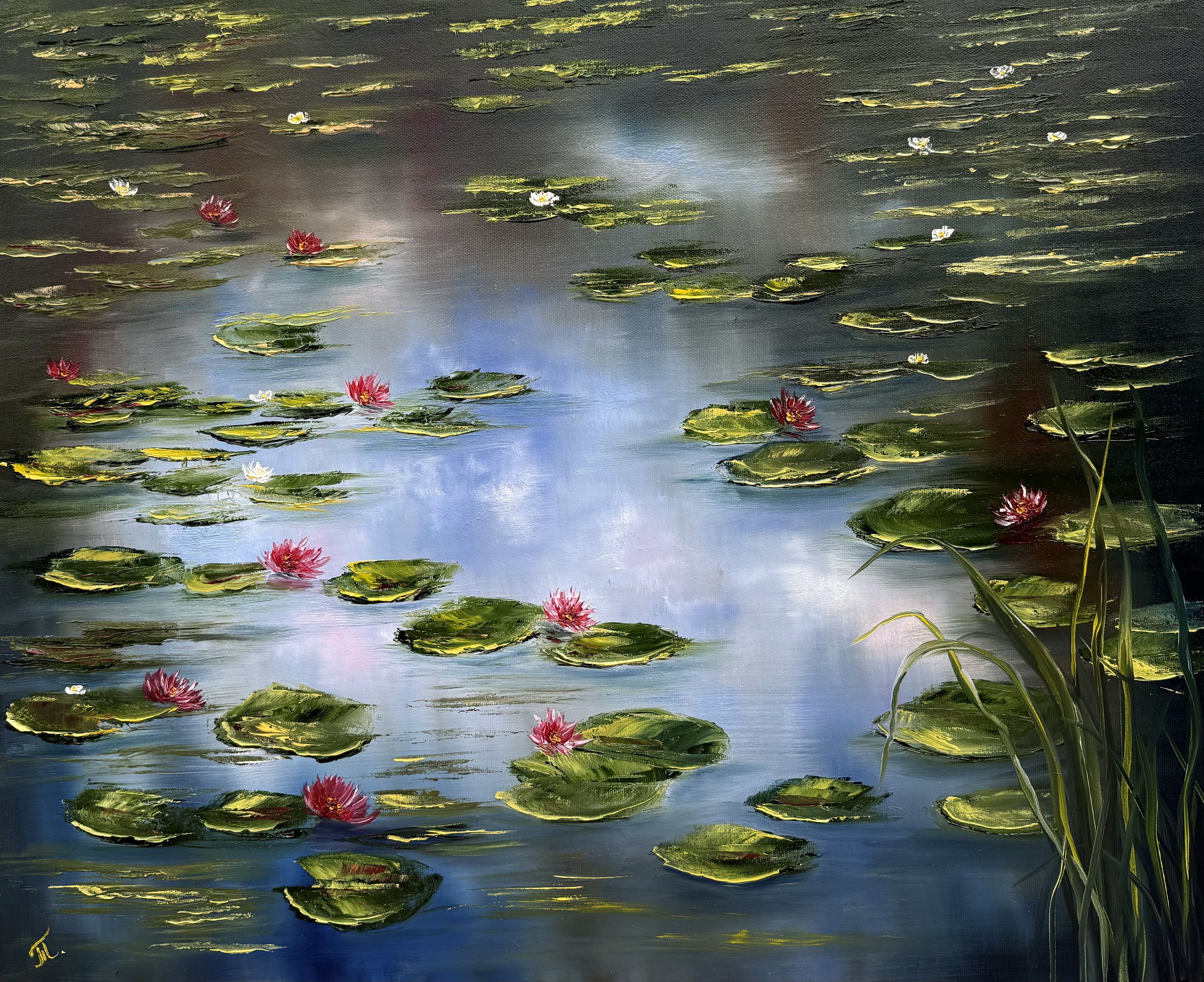 Tanja Frost, Water Lilies Tanja Frost, Water Lilies