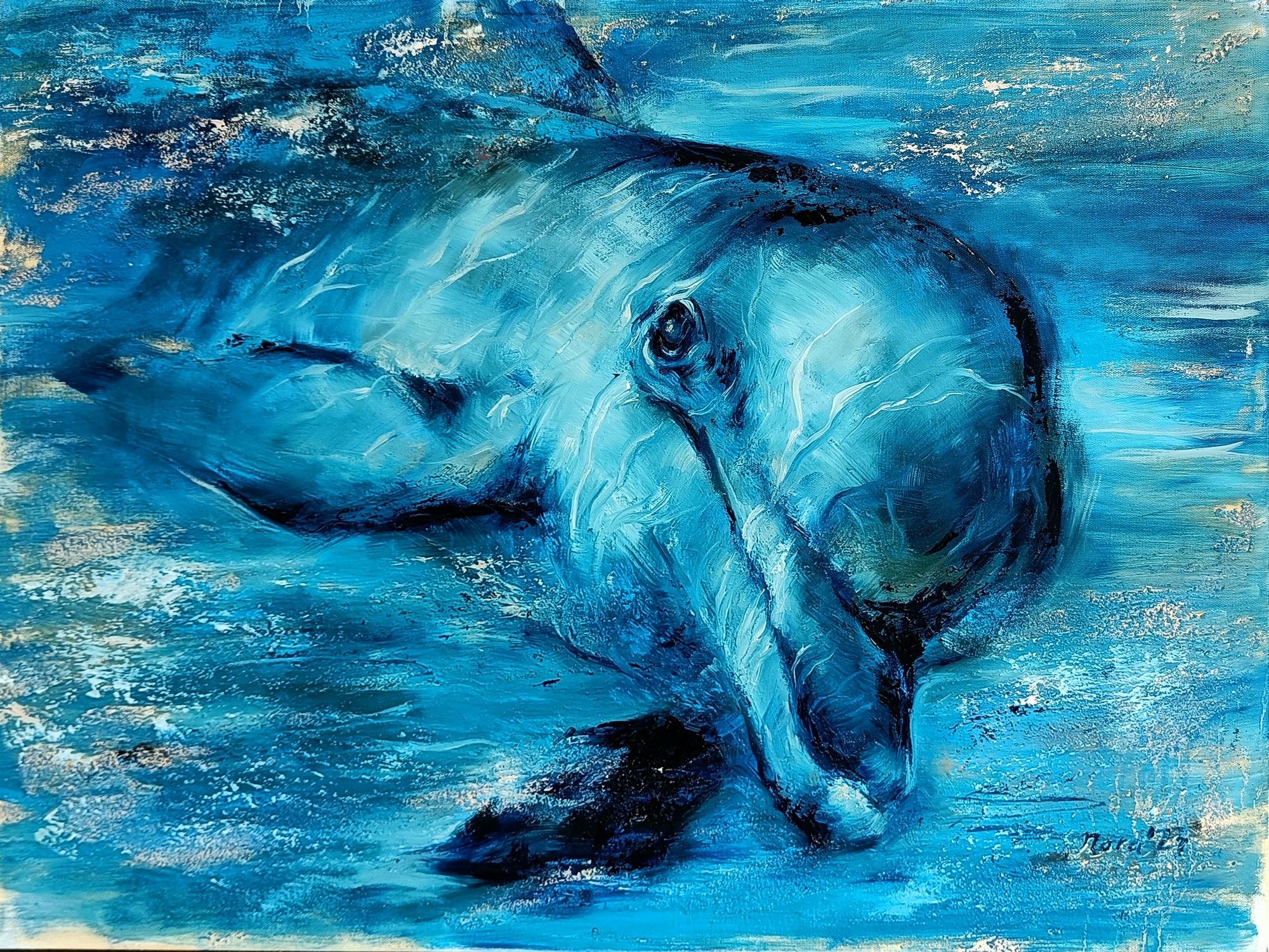 Eleonora Taranova, Dolphin Eleonora Taranova, Dolphin
