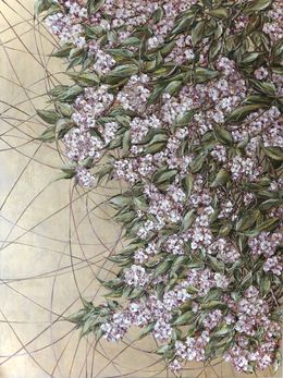Gemälde, Sakura, Tatiana Danta Danshina