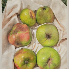 Dessin, Six apples, Karina Lara