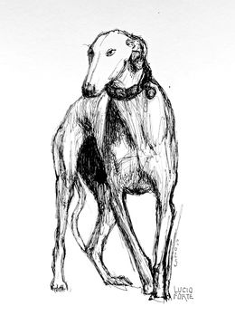 Fine Art Drawings, Dog anatomy, Lucio Forte