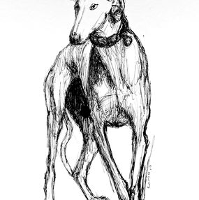 Disegno, Dog anatomy, Lucio Forte