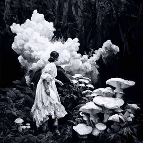 Pintura, Alica, Yoann Merienne