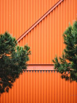 Photographie, Orange mécanique, Alain Boccard