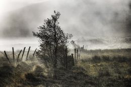 Photographie, La clôture, Roland Avard