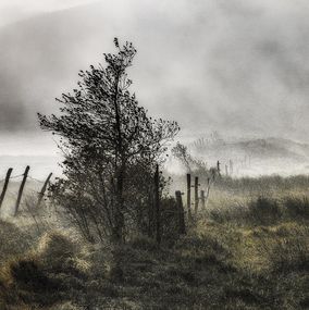 Fotografien, La clôture, Roland Avard
