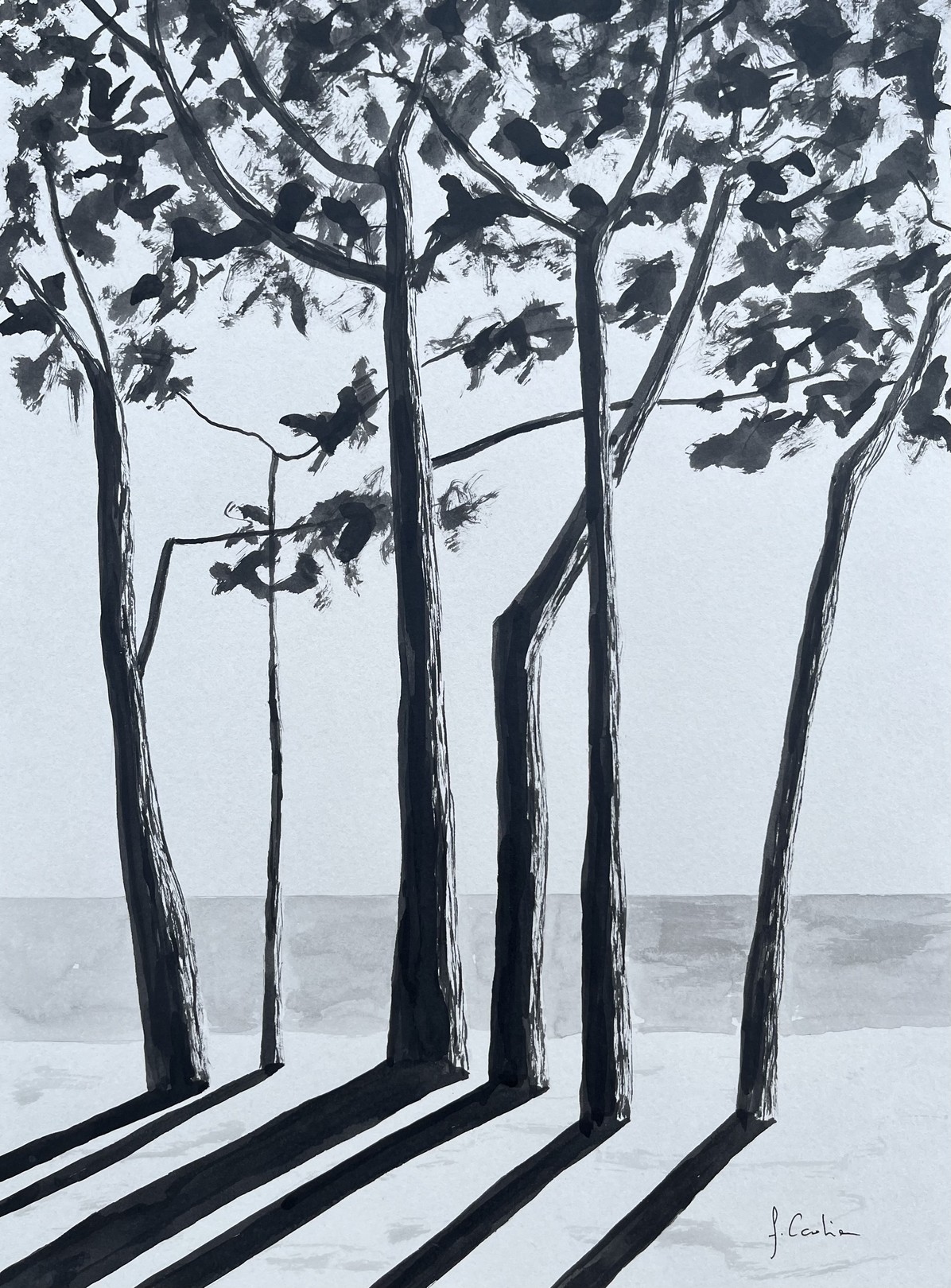 Frédéric Cadiou, Avenue du Cap Coz Frédéric Cadiou, Avenue du Cap Coz