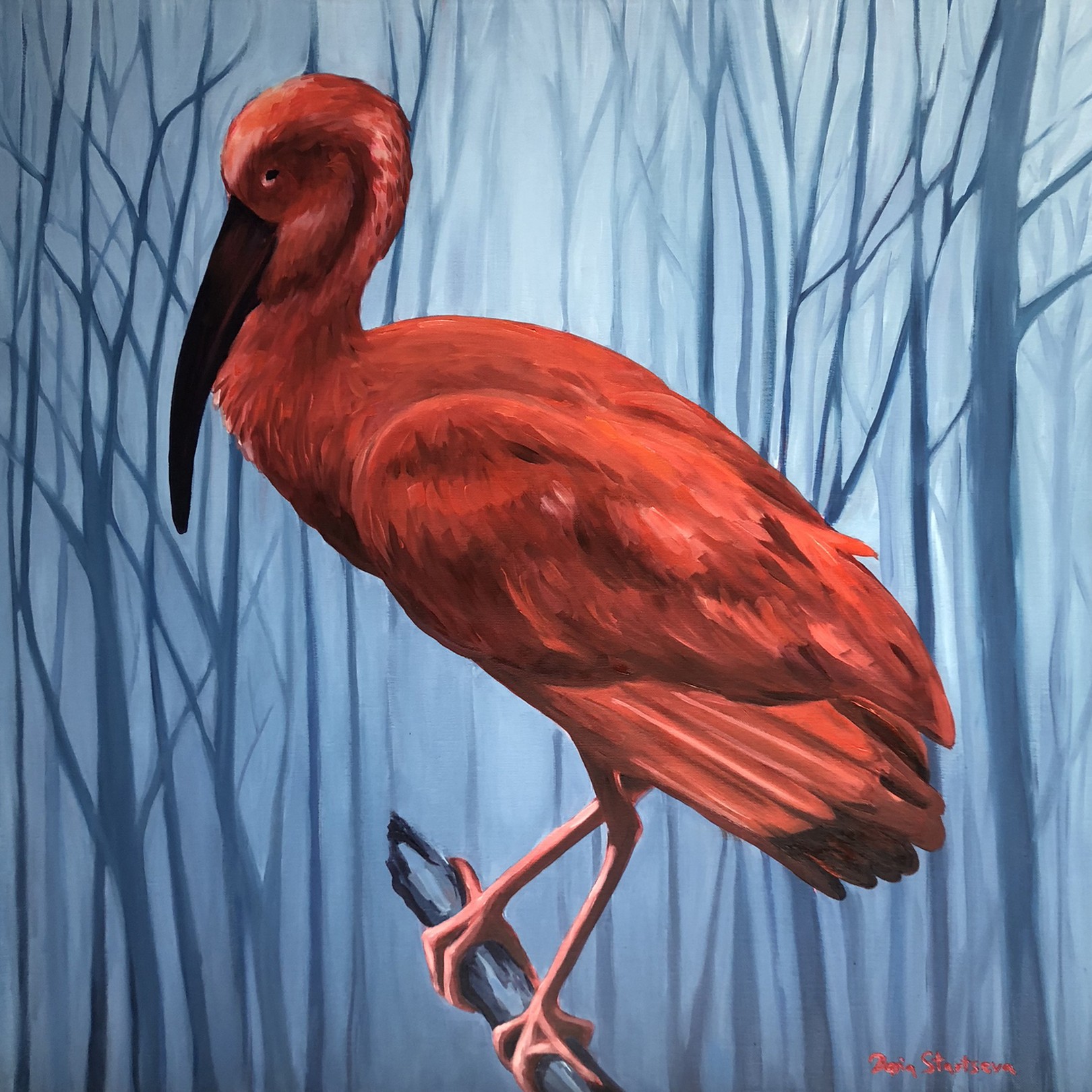 Daria Startseva, Red Bird Daria Startseva, Red Bird