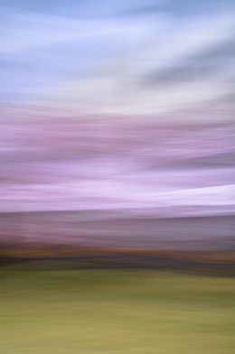 Fotografien, The Motion of Blossom, Alvin Greis