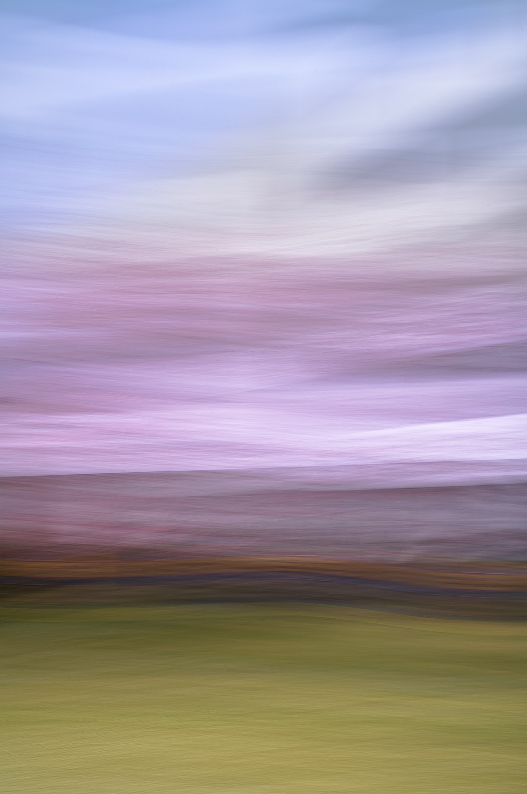 Alvin Greis, The Motion of Blossom Alvin Greis, The Motion of Blossom