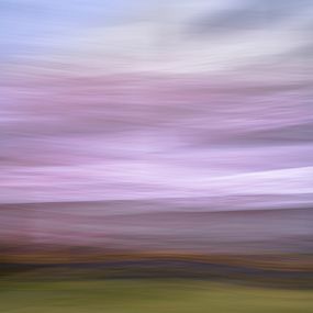 Photographie, The Motion of Blossom, Alvin Greis