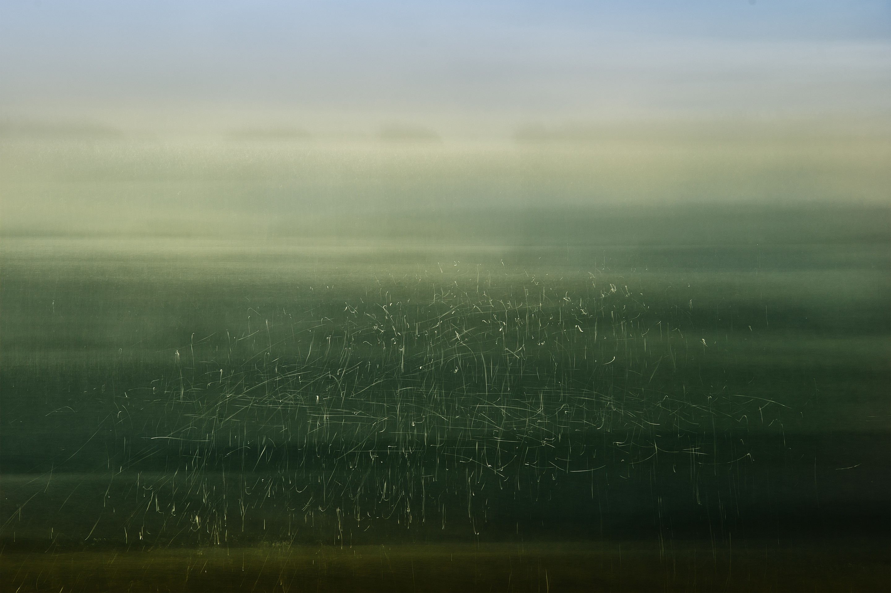 Alvin Greis, Scratched Reality No.3 Alvin Greis, Scratched Reality No.3