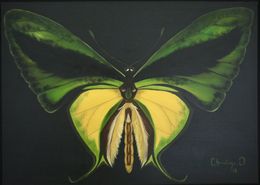 Gemälde, Wings of hope, Christine El Ojeil