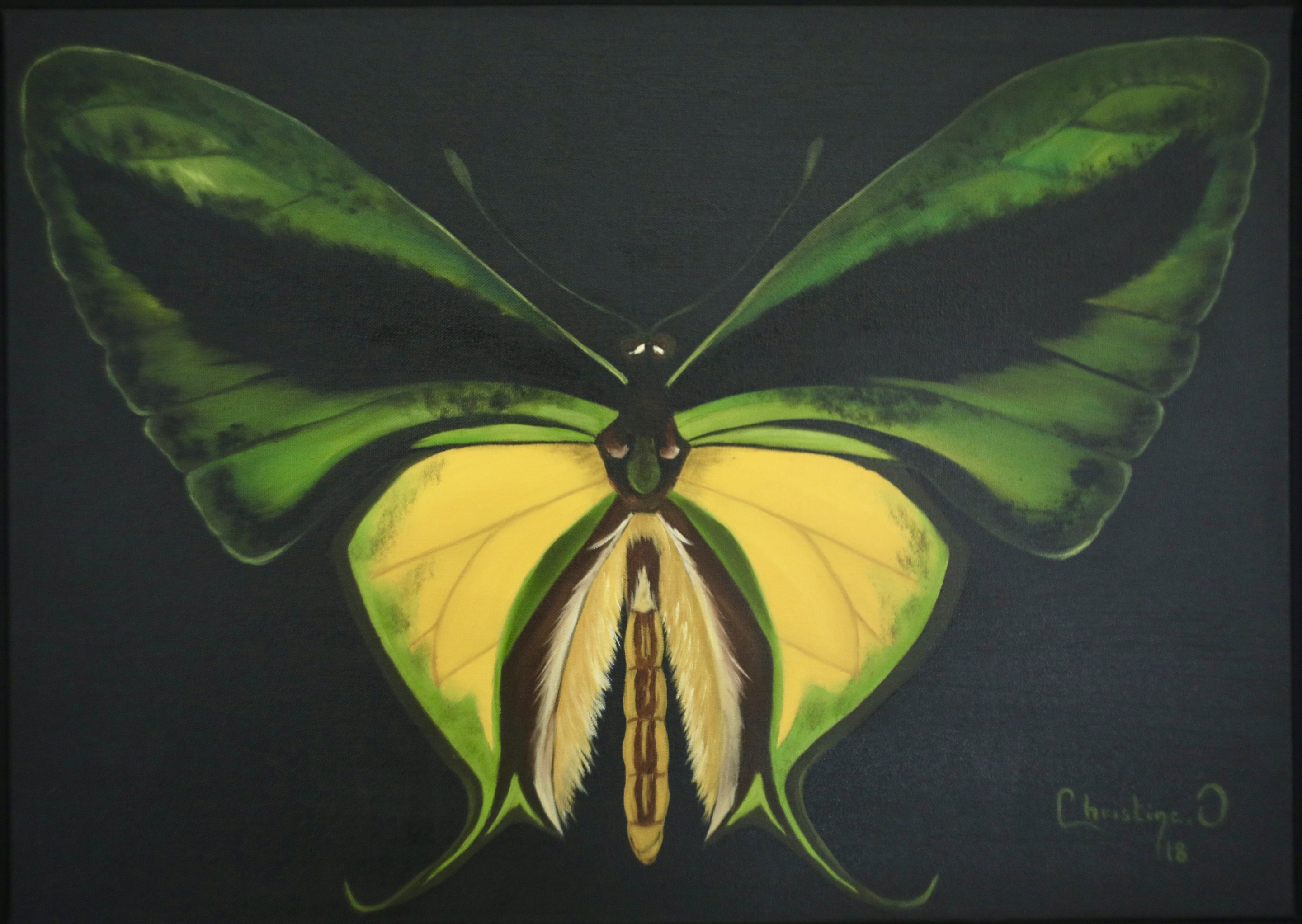 Christine El Ojeil, Wings of hope Christine El Ojeil, Wings of hope