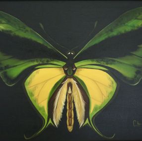 Peinture, Wings of hope, Christine El Ojeil
