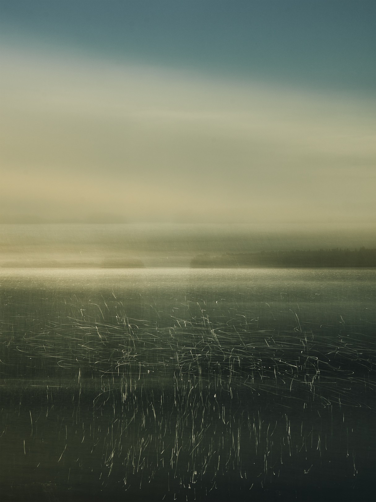 Alvin Greis, Scratched Reality No.4 Alvin Greis, Scratched Reality No.4