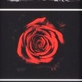 Print, Essentials, Robert Longo