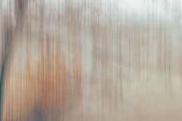 Photographie, Autumn, Alvin Greis