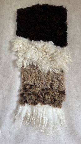 Design, Seeking Softness, Elena Spence