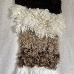 Design, Seeking Softness, Elena Spence
