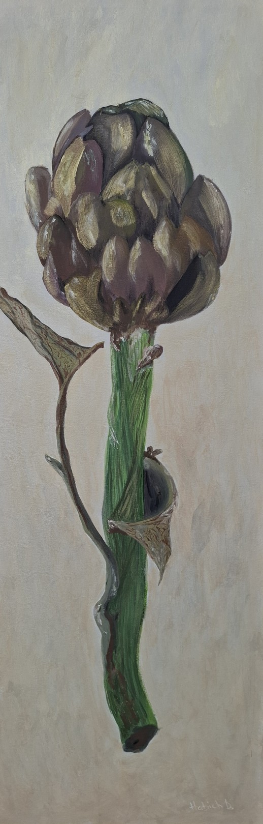 Daria Habich, Artichoke Daria Habich, Artichoke