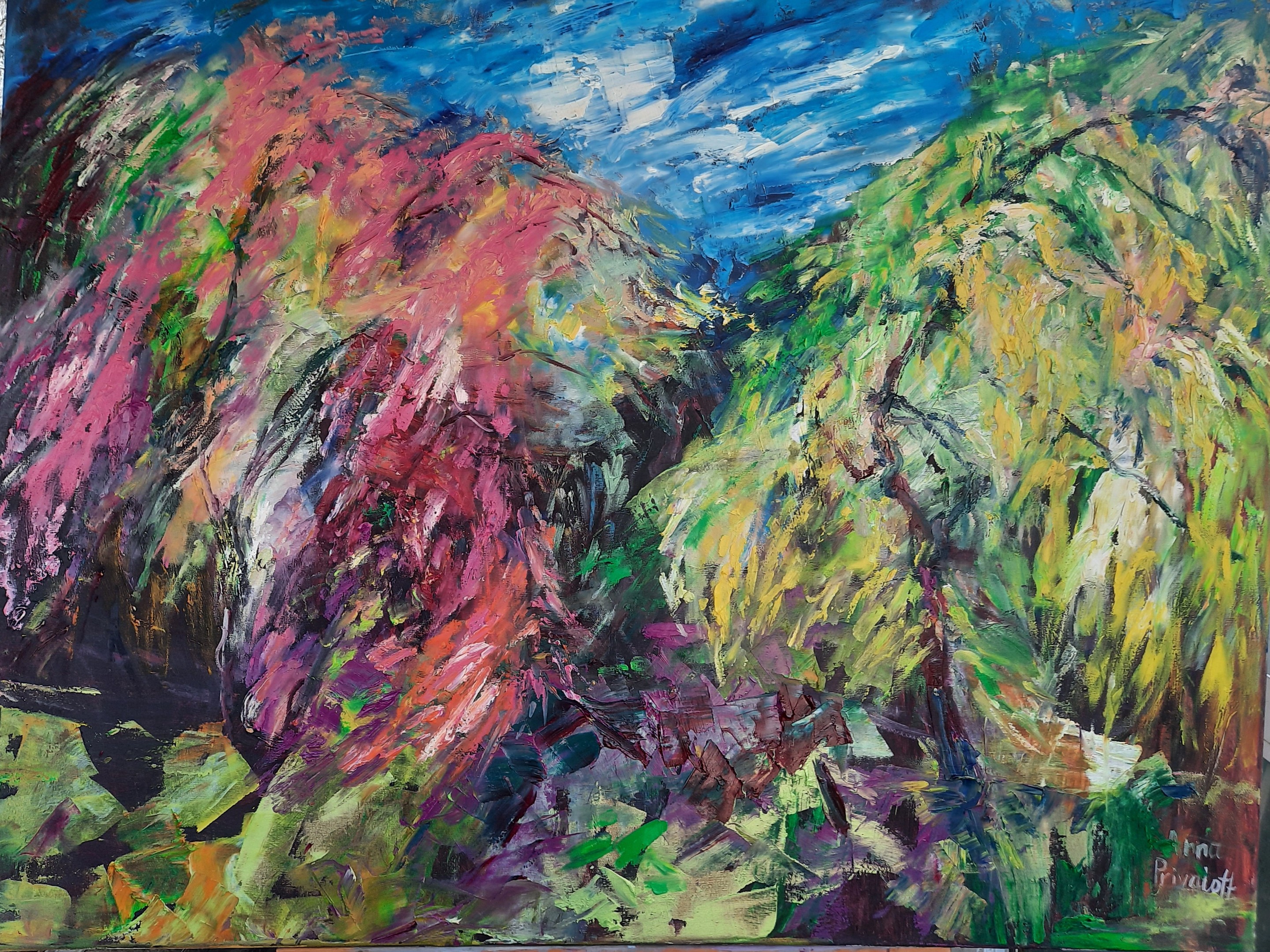 Anna Privaloff, Storm Anna Privaloff, Storm