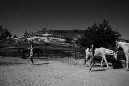 Photographie, ECO34 - Series from Ecotone, Burak Bulut Yildirim