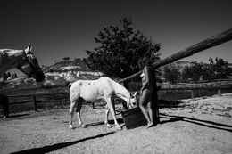 Photographie, ECO37 - Series from Ecotone, Burak Bulut Yildirim