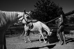 Photographie, ECO38 - Series from Ecotone, Burak Bulut Yildirim