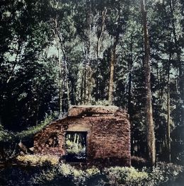 Photography, Tannière du loup 10, Irène Jonas
