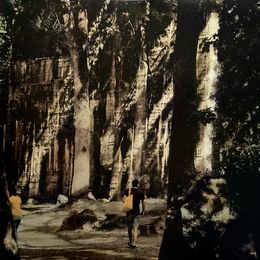 Photography, Tannière du loup 11, Irène Jonas